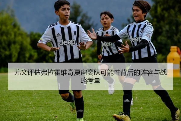 尤文评估弗拉霍维奇夏窗离队可能性背后的阵容与战略考量